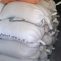 فروش شلتوک لنجان