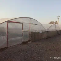 سازه گلخانه 450 متر