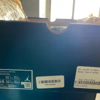 Air jordan 12|کیف، کفش، کمربند|تهران, آسمان|دیوار