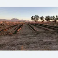 زمین کشاورزی تقاب|فروش زمین و ملک کلنگی|خوسف, |دیوار