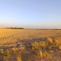 فروش زمین کشاورزی و باغچه در بویری شبانکاره|فروش دفتر صنعتی، کشاورزی، تجاری|شبانکاره, |دیوار