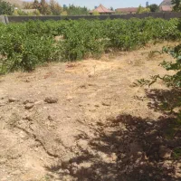 باغ-شهر-1000متری