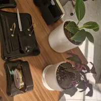 حسابداری مالیاتی تخصصی پیمانکاری،سامانه مودیان