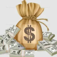 پرداخت سرمایه فقط با چک