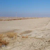 زمین کشاورزی