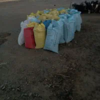 کود گوسفندی