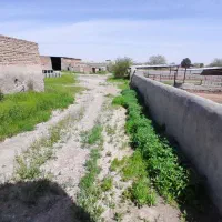 سالن 300 متری 1000 متر محوطه حاشیه جاده فریمان