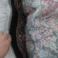 جفت قالی ۱۲متری
