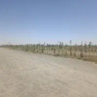 فروش زمین ۱۵۰ متری در شمس آباد|فروش زمین و ملک کلنگی|مشهد, شمس آباد|دیوار