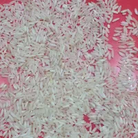 برنج درجه۱ عنبر شوشتر|خوردنی و آشامیدنی|اهواز, پادادشهر|دیوار
