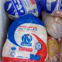 مرغ منجمد شمال