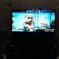 LEDصنام۴۳اینچ ترتمیزled|تلویزیون و پروژکتور|مشهد, سمزقند|دیوار