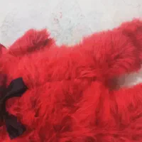 عروسک|اسباببازی|کرج, خرمدشت|دیوار