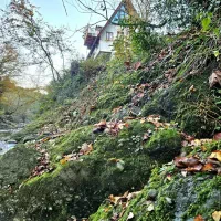 آقا هستم ۲۶ ساله برای انجام نظافت و سایر امور