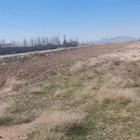 زمین کارخانه گلخانه دامداری مرغداری انبار مرغ|فروش دفتر صنعتی، کشاورزی، تجاری|مرودشت, ثبت احوال|دیوار