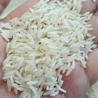 برنج هاشمی درجه یک|خوردنی و آشامیدنی|رشت, کاکتوس|دیوار