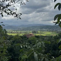 500 متر زمین بافت ویو ابدی در بابلکنار|فروش زمین و ملک کلنگی|شیرگاه, |دیوار