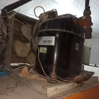یخچال ویترینی