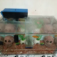 آکواریوم با تمام تجهیزات