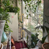 سپند ۱۸۵متر ۳خواب فول مشاعات|فروش آپارتمان|تهران, اقدسیه|دیوار