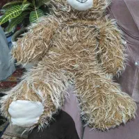 خرس کرم قهوه ای