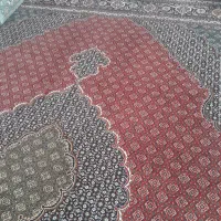 قالی ۱۲ متری ریز ماهی|فرش|کرمانشاه, |دیوار