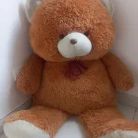 عروسک خرسی|اسباب‌‌بازی|سرعین, |دیوار