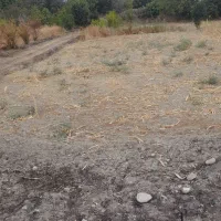 یک قطعه زمین  فروشی|فروش زمین و ملک کلنگی|نوکنده, |دیوار