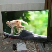 تلوزیون الیدی ۴۳ الجی اصل کره در حد نو|تلویزیون و پروژکتور|مشهد, شهید معقول|دیوار