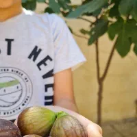 رهن یا اجاره خانه ویلایی|اجارهٔ خانه و ویلا|کبودرآهنگ, |دیوار