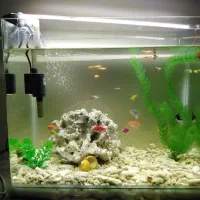 آکواریوم شیشه خم 45*35*25