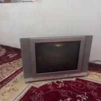 تلویزیون|تلویزیون و پروژکتور|مشگین شهر, |دیوار