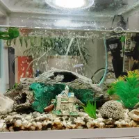 اکواریوم با لوازم