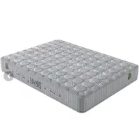 تشک داتیس. نو