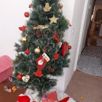 درخت کریسمس تنها بدون وسایل روش فروخته می شود|گل مصنوعی|تهران, نیلوفر|دیوار