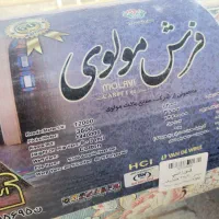 جفت قالی 15 متری 1200 شونه|فرش|مرودشت, بیست متری بیمارستان|دیوار