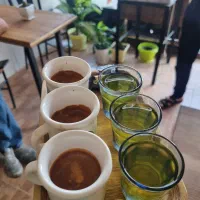 به یک نیروی کاری جهت کار در کافه نیاز مندیم