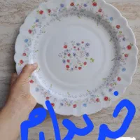 آرکوپال ویکتوریا