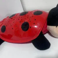 چرغ مطالعە|چراغ خواب و آباژور|سقز, |دیوار