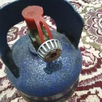 پیک نیک  ۱ کیلویی کاملا سالم همراه با سر