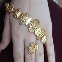 سرویس کامل  زد حساسیت|بدلیجات|کرج, شاهین‌ویلا|دیوار