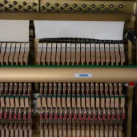 تمام برندهاموجودیاماهاکاوایی سمیک هافمن فالکن قسطی|پیانو، کیبورد، آکاردئون|اصفهان, عباسآباد|دیوار