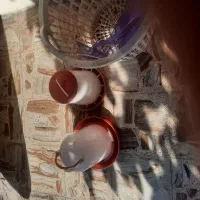 فروش قفس مرغ وجوجه|لوازم جانبی حیوانات|زیرآب, |دیوار