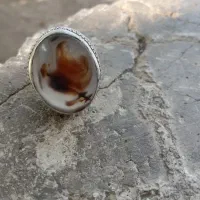 شجر|جواهرات|بیرجند, |دیوار