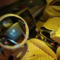 پارس بدون رنگ، با لوازم