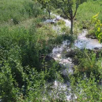 فروش زمین کشاورزی بهترین موقعیت