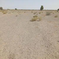 اجاره ۲هکتار زمین کشاوزی