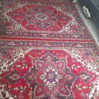 فرش دستبافت هریس تاجری|فرش|تبریز, |دیوار