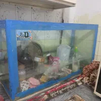 آکواریوم  ماهی