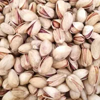 پسته ی خشک امساله